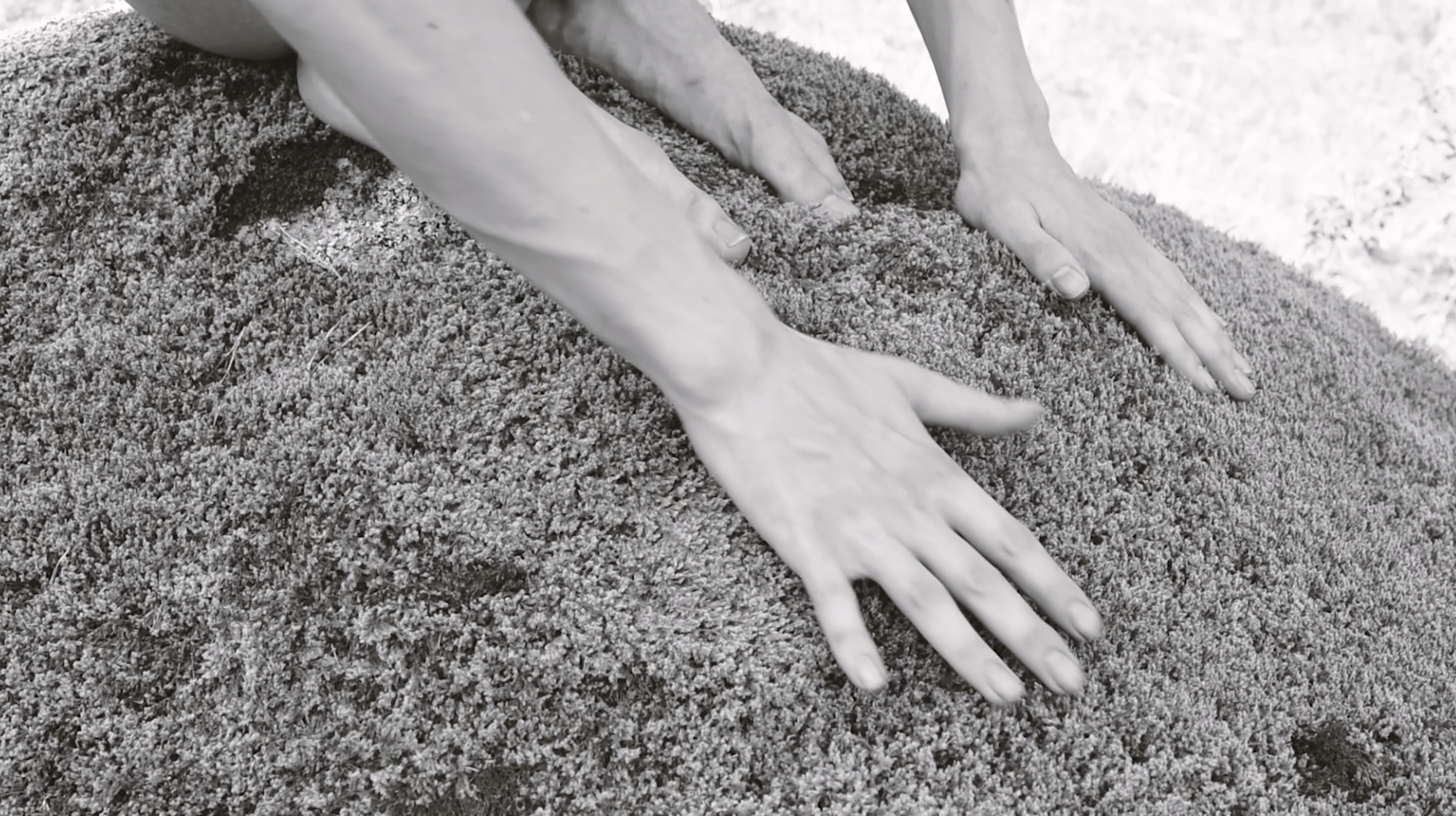 Vanessa Alica Kunert