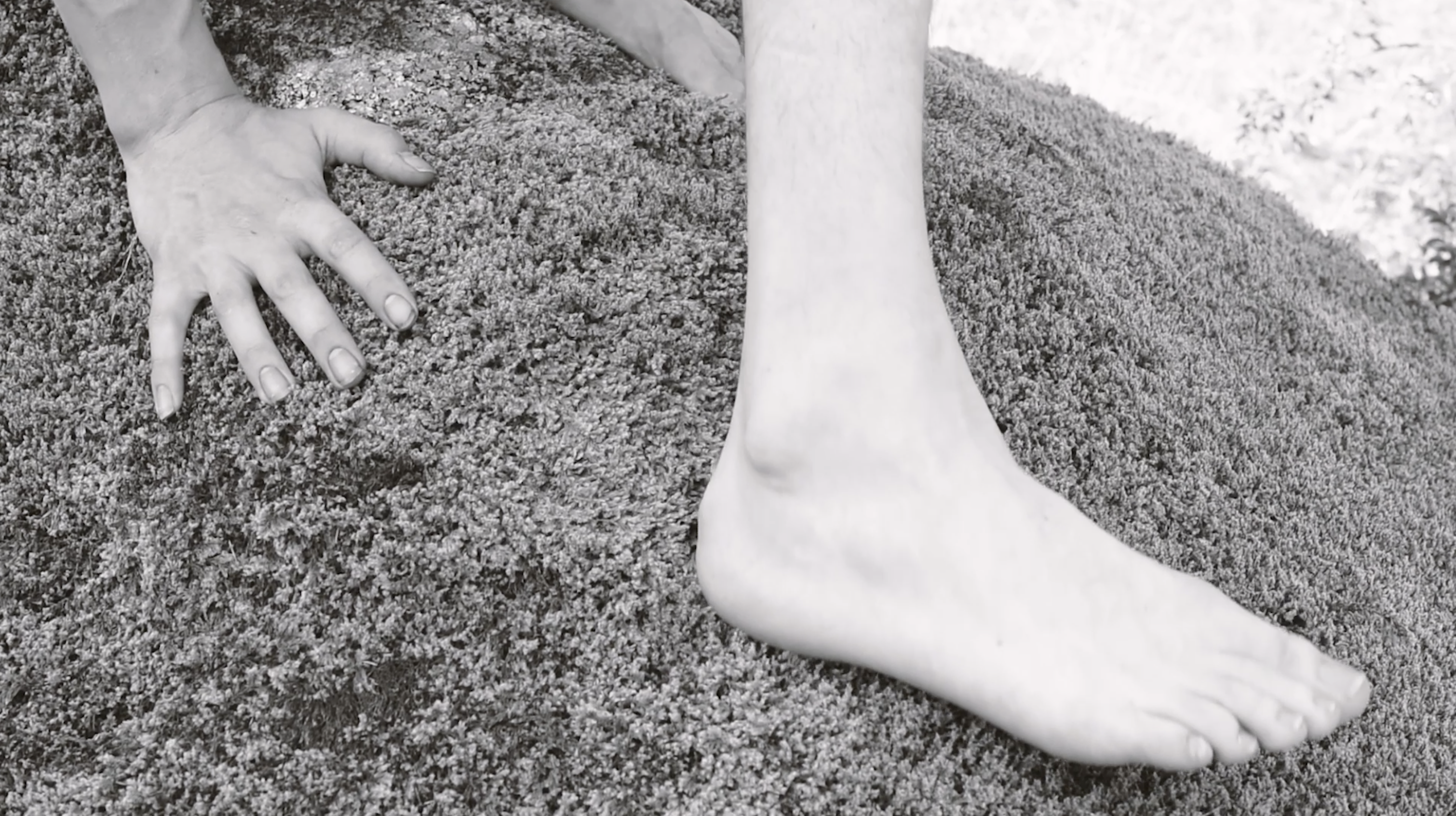 Vanessa Alica Kunert