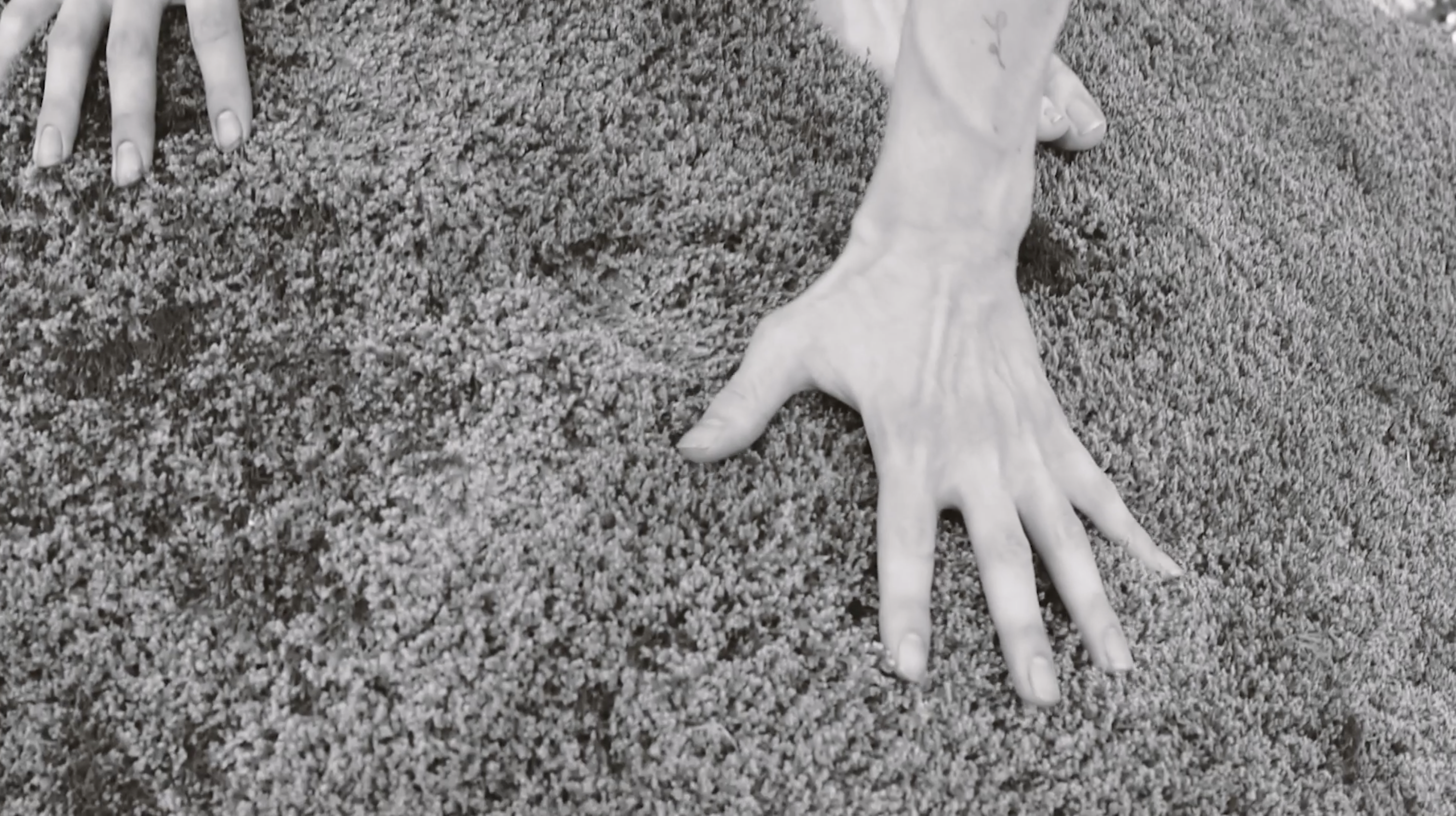 Vanessa Alica Kunert