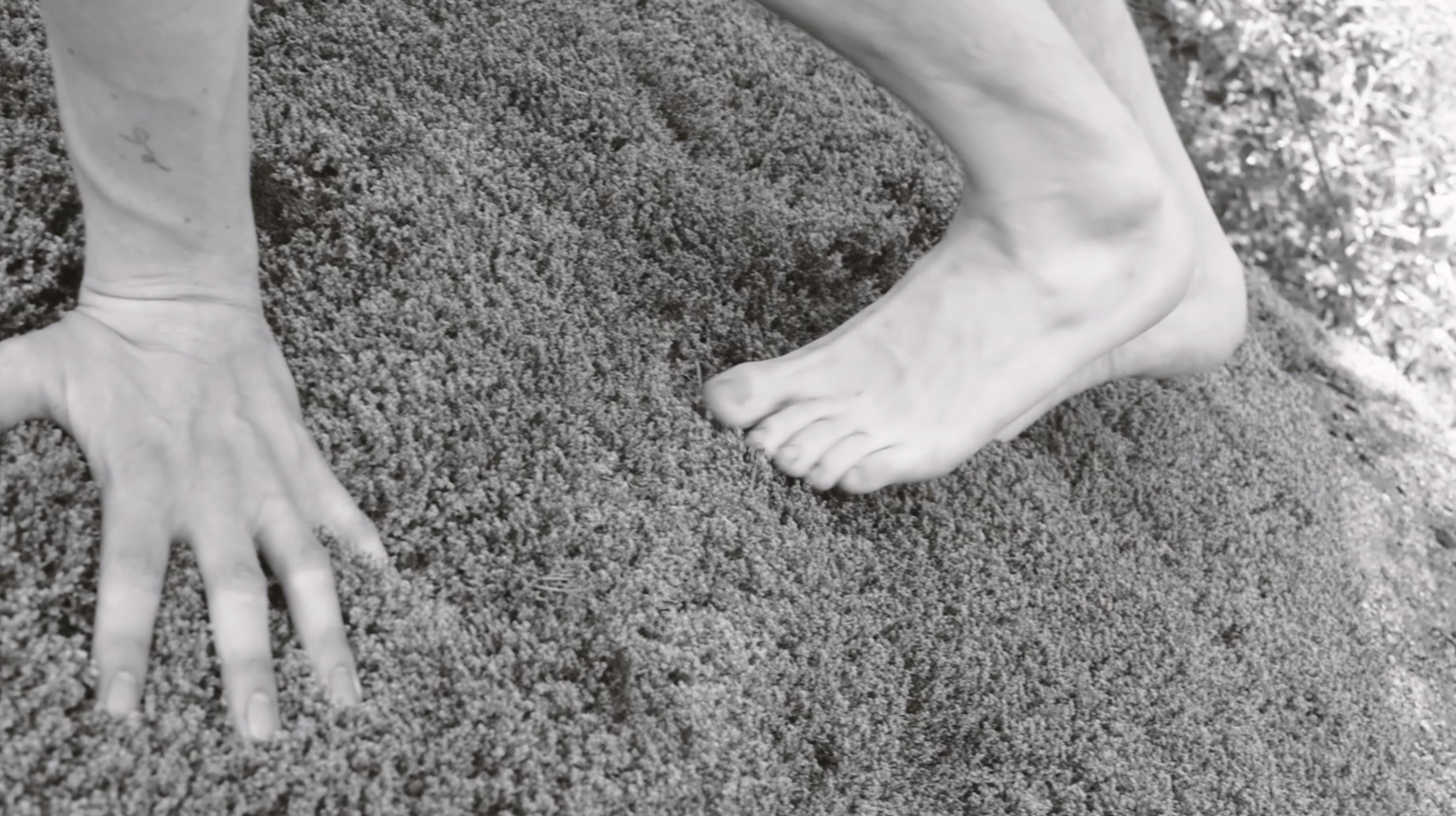 Vanessa Alica Kunert