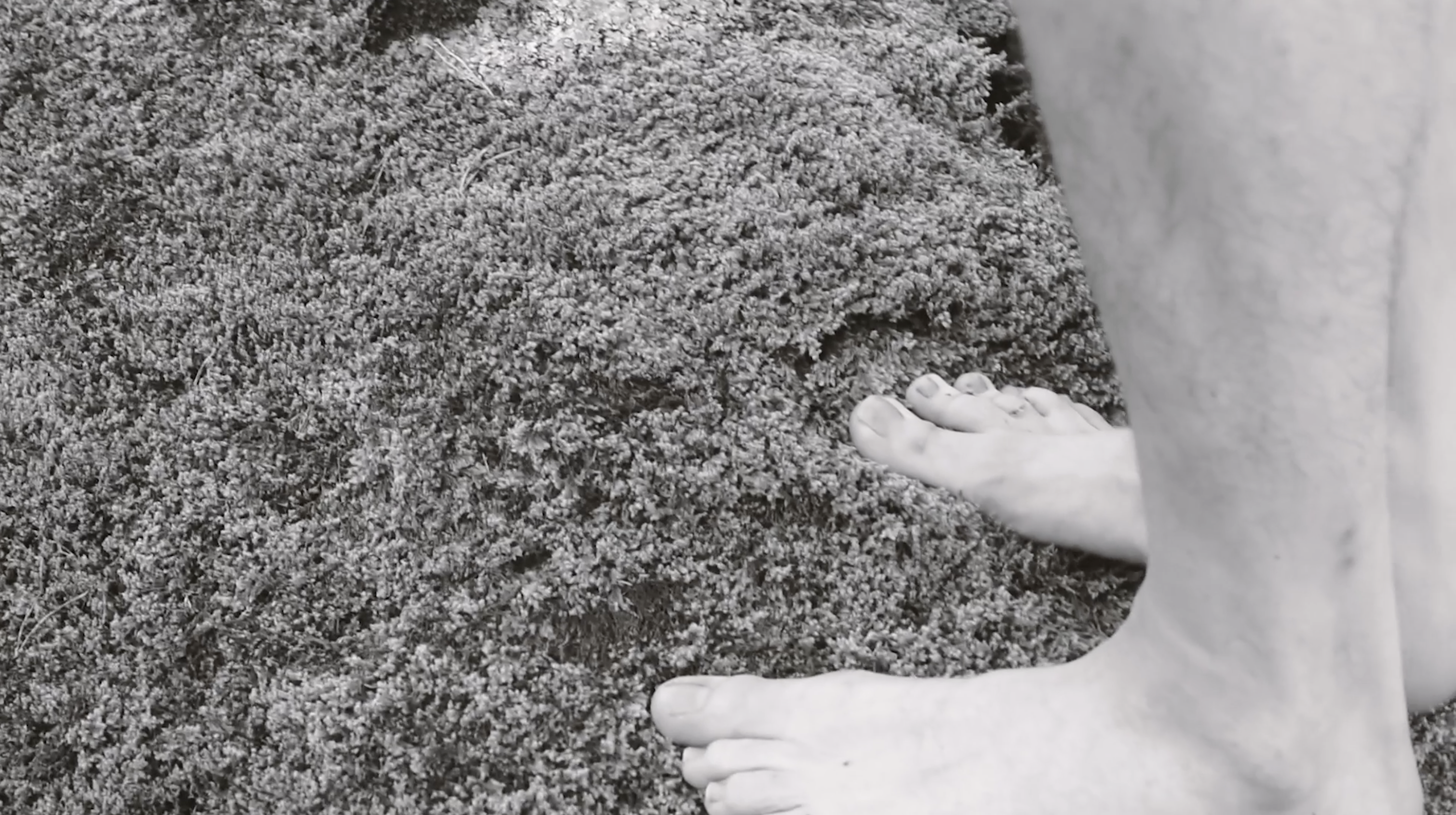 Vanessa Alica Kunert