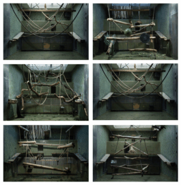 Vanessa Alica Kunert