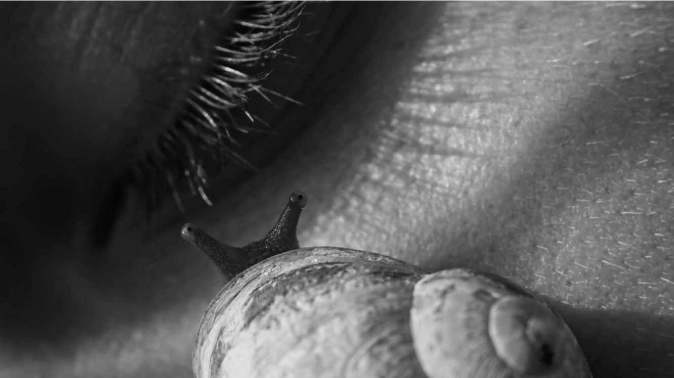 Vanessa Alica Kunert