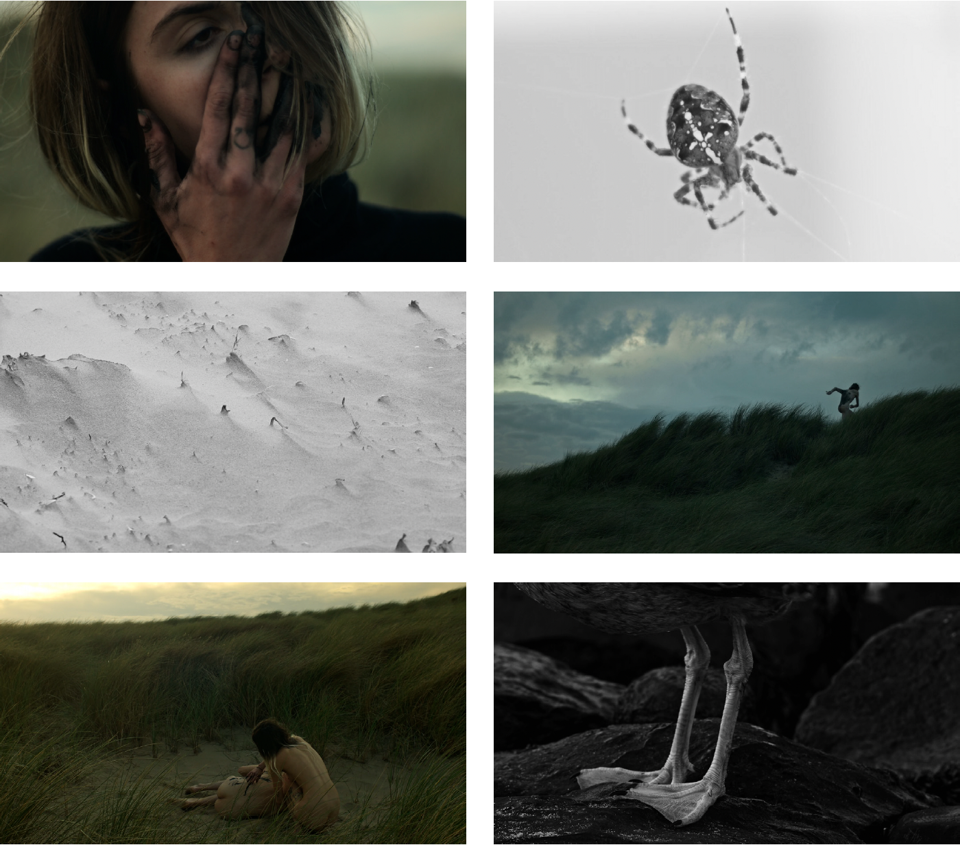 Vanessa Alica Kunert