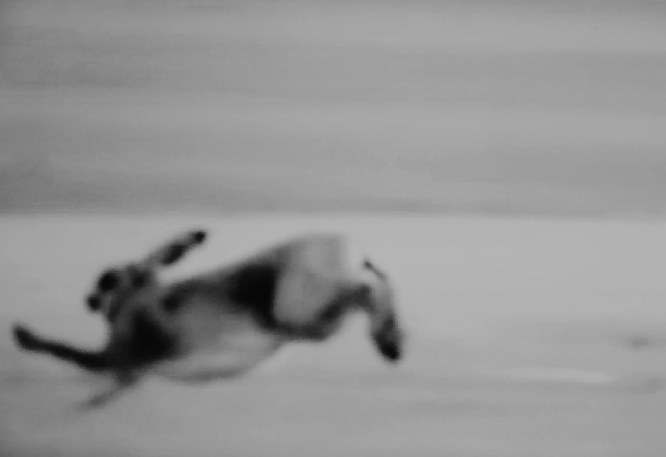 Vanessa Alica Kunert