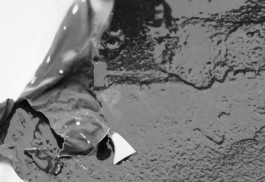 Vanessa Alica Kunert